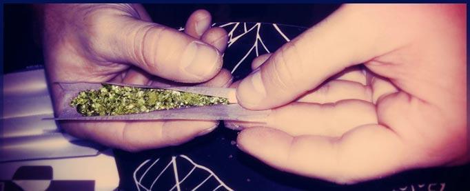 Stamford Marijuana Possession Attorney Stamford Marijuana Possession Attorney